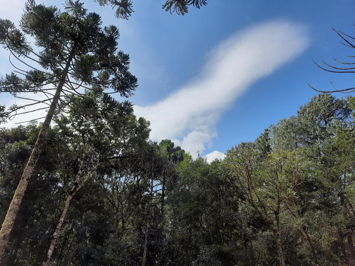 Pousada Bruxa Marela Monte Verde  Zewnętrze zdjęcie